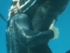 gay_underwater_sex_10