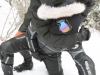 gay_snowboard_parka_029